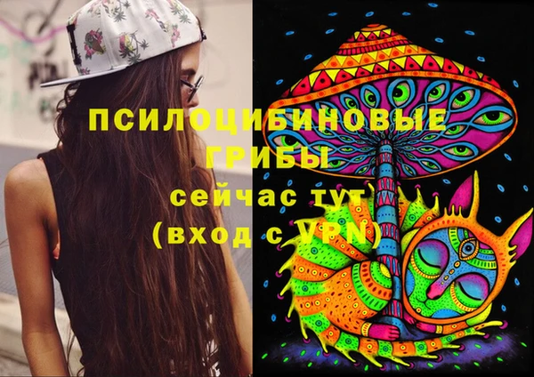 таблы Михайлов