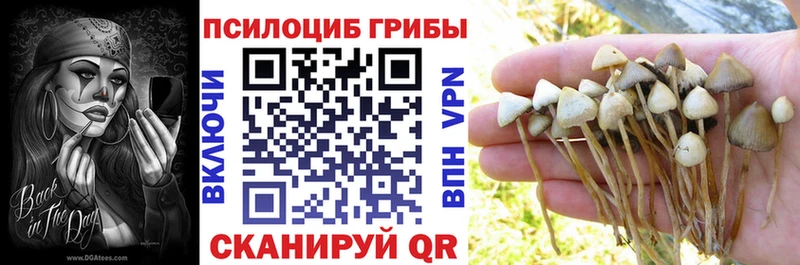 Псилоцибиновые грибы мухоморы  Усолье 